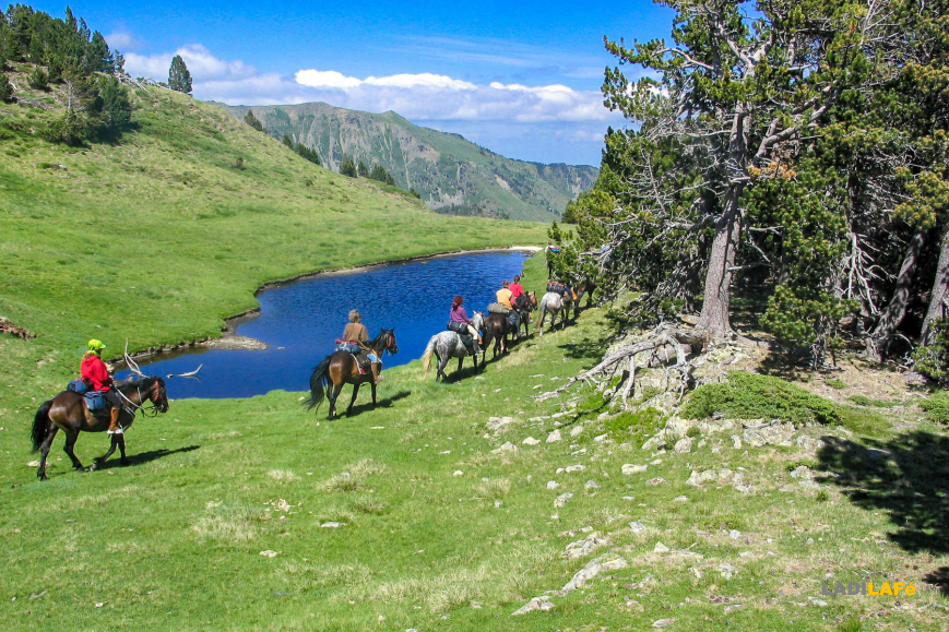 Découvrez les Pyrénées à cheval
