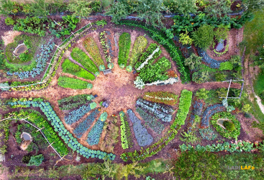 Découvrez la permaculture